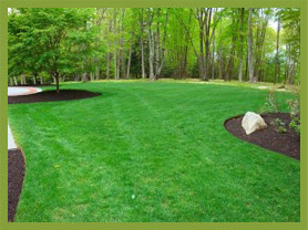 Mulching and bed edging by HDL Property Services